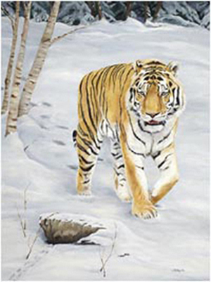 Wildlife painting by Claudia Chapman